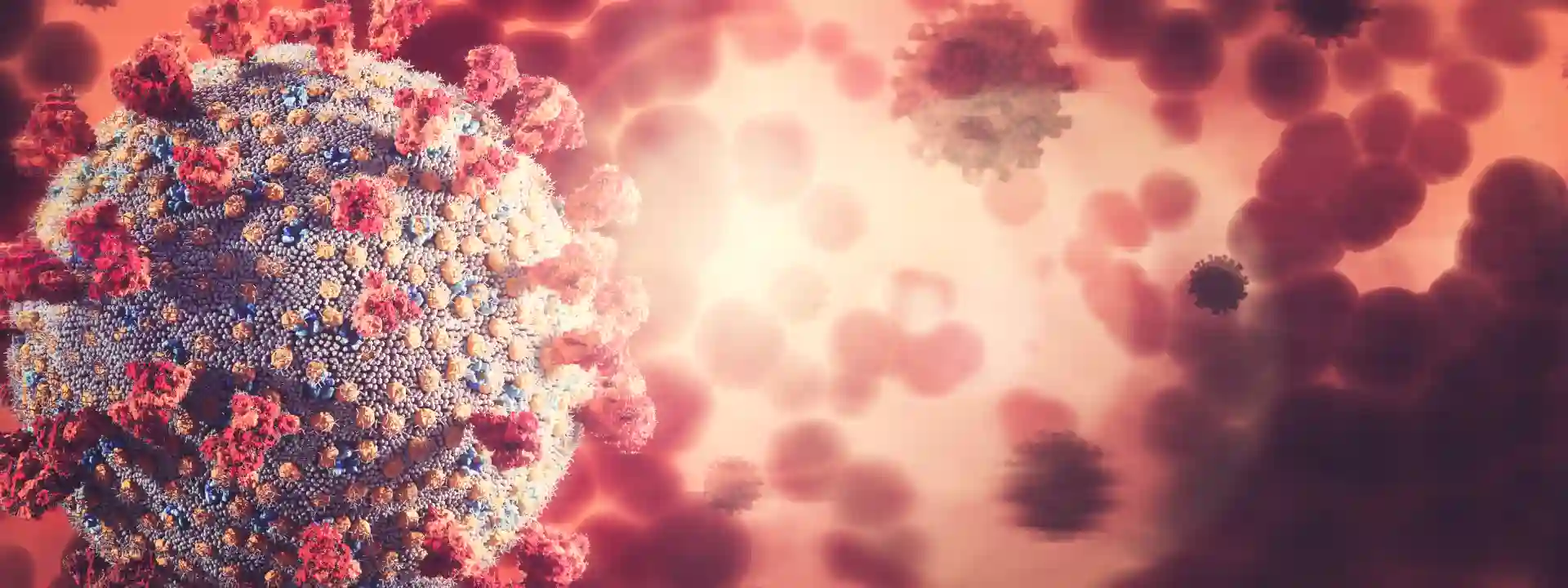 Hepatitis B / C Management in Kolkata